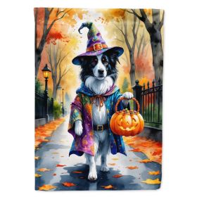 Border Collie Halloween Trick or Treat House Flag Large Porch Sleeve Pole Decorative Outside Yard Banner Artwork Wall Hanging, Polyester, House S (Option: default)